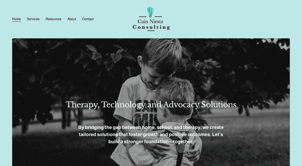 Cain Nimtz Consulting homepage on desktop